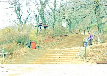 林道,アウトドア,屋外,冬,曇り