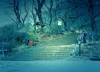林道,アウトドア,屋外,冬,曇り,ホラー