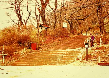 林道,アウトドア,屋外,冬,曇り,ヴィンテージ