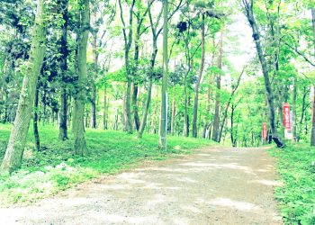 林道,アウトドア,屋外,夏,晴れ,昭和レトロ