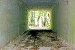林道,アウトドア,屋外,春,曇り