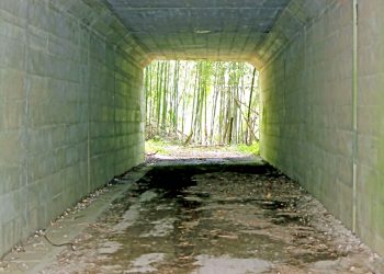 林道,アウトドア,屋外,春,曇り