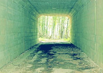 林道,アウトドア,屋外,春,曇り,昭和レトロ
