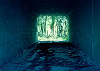 林道,アウトドア,屋外,春,曇り,ホラー
