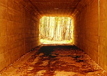 林道,アウトドア,屋外,春,曇り,ヴィンテージ