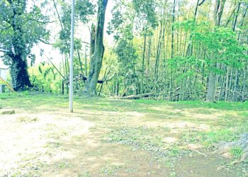林道,アウトドア,屋外,春,晴れ,昭和レトロ