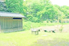公園,アウトドア,屋外,春,晴れ