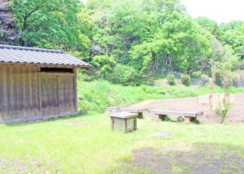 公園,アウトドア,屋外,春,晴れ