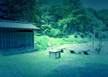 公園,アウトドア,屋外,春,晴れ,ホラー