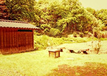 公園,アウトドア,屋外,春,晴れ,ヴィンテージ