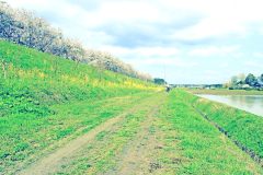 林道,アウトドア,屋外,春,晴れ