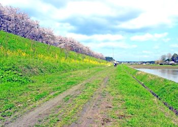 林道,アウトドア,屋外,春,晴れ