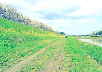 林道,アウトドア,屋外,春,晴れ,昭和レトロ