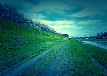 林道,アウトドア,屋外,春,晴れ,ホラー