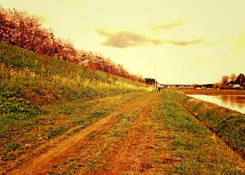 林道,アウトドア,屋外,春,晴れ,ヴィンテージ