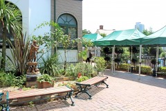 洋館,町,夏,屋外,晴れ