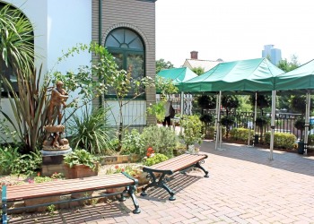 洋館,町,夏,屋外,晴れ