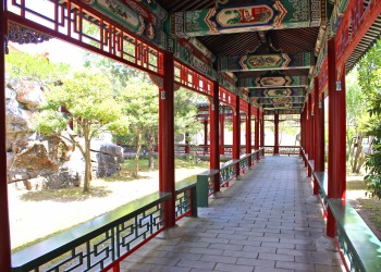 洋館中庭,夏,屋外,晴れ