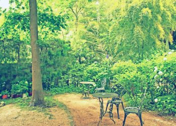 洋風庭園,洋,屋外,夏,晴れ,昭和レトロ
