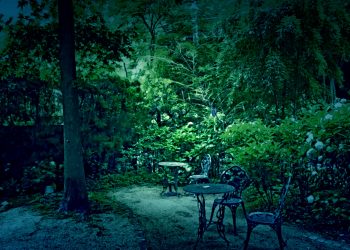 洋風庭園,洋,屋外,夏,晴れ,ホラー