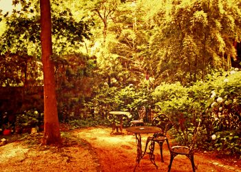 洋風庭園,洋,屋外,夏,晴れ,ヴィンテージ