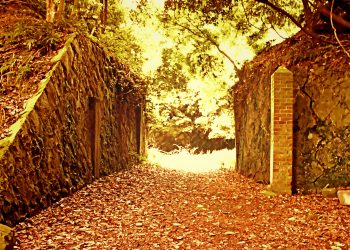 洋風庭園,廃墟,晴れ,夏,屋外,ヴィンテージ