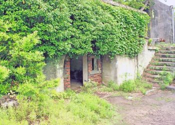 洋風庭園,廃墟,晴れ,夏,屋外