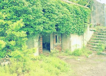 洋風庭園,廃墟,晴れ,夏,屋外,昭和レトロ