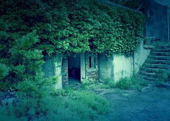 洋風庭園,廃墟,晴れ,夏,屋外,ホラー