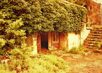 洋風庭園,廃墟,晴れ,夏,屋外,ヴィンテージ
