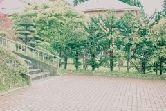 洋風庭園,晴れ,夏,屋外