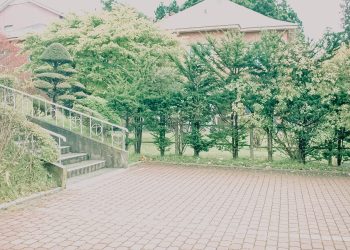 洋風庭園,晴れ,夏,屋外,昭和レトロ