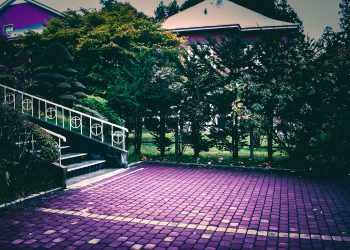 洋風庭園,晴れ,夏,屋外,ホラー