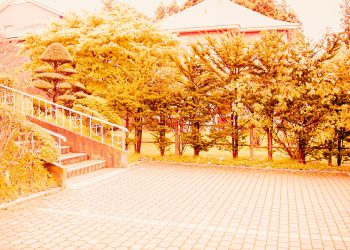 洋風庭園,晴れ,夏,屋外,ヴィンテージ