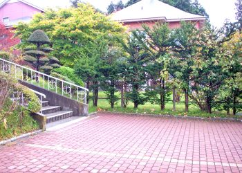 洋風庭園,晴れ,夏,屋外
