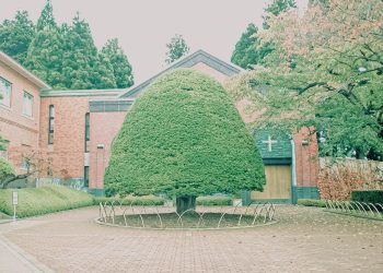 洋風庭園,晴れ,夏,屋外,昭和レトロ