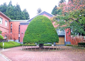 洋風庭園,晴れ,夏,屋外