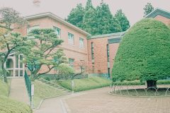 洋風庭園,晴れ,夏,屋外