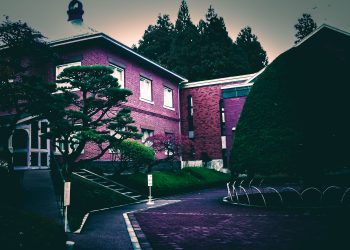 洋風庭園,晴れ,夏,屋外,ホラー