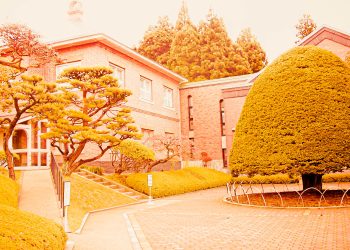 洋風庭園,晴れ,夏,屋外,ヴィンテージ