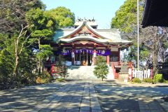 神社,町,和,屋外,夏,晴れ