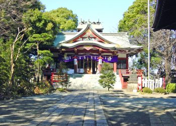 神社,町,和,屋外,夏,晴れ