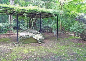 神社, 町, 和, 屋外, 夏, 曇り