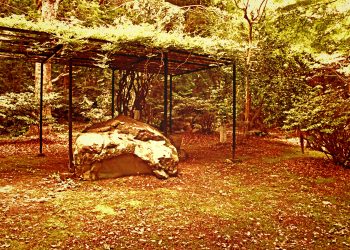 神社, 町, 和, 屋外, 夏, 曇り,ヴィンテージ