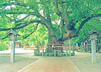 神社, 町, 和, 屋外, 夏, 曇り,昭和レトロ
