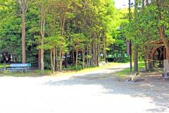 公園, 町,  屋外, 夏, 晴れ