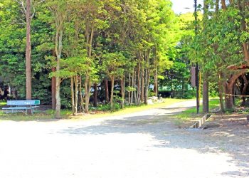 公園, 町, 屋外, 夏, 晴れ