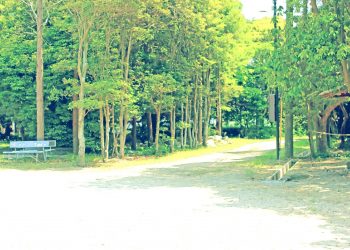 公園, 町, 屋外, 夏, 晴れ, 昭和レトロ