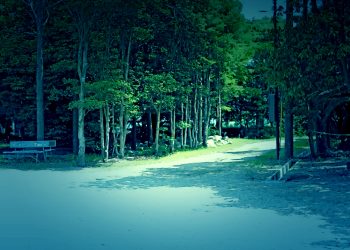 公園, 町, 屋外, 夏, 晴れ,ホラー