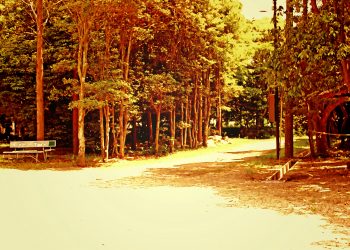 公園, 町, 屋外, 夏, 晴れ,ヴィンテージ